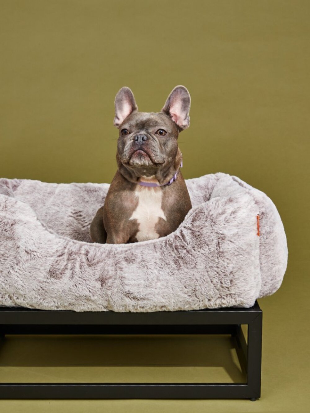 FÜZI Luxury Elevated Dog Bed Small Light Grey Faux Fur Black Metal Frame